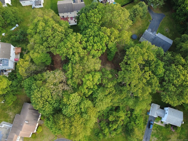 9 Newton Pl, Norwich, CT 06360