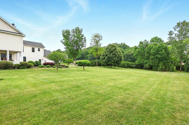 7 Brook Wood Ct, East Windsor, CT 06016 - view of green lawn