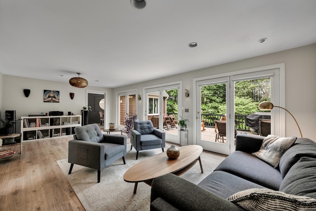 89 Goose Green Rd, Barkhamsted, CT 06063 - living room featuring light wood finished floors and plenty of natural light