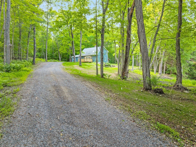 53 Windham Rd, Hampton, CT 06247 - view of dirt / gravel road featuring a wooded view