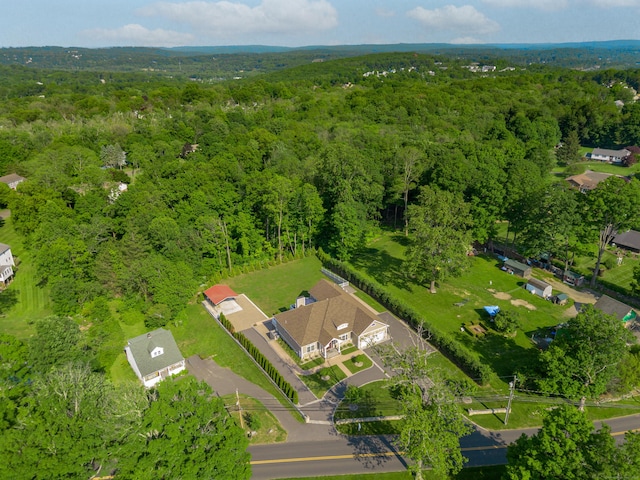 125 Stadley Rough Rd, Danbury, CT 06811 - bird's eye view of a heavily wooded area