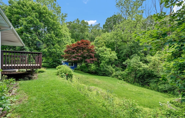 5 Reservoir Rd, Norwich, CT 06360 - view of green lawn with a deck and an outbuilding