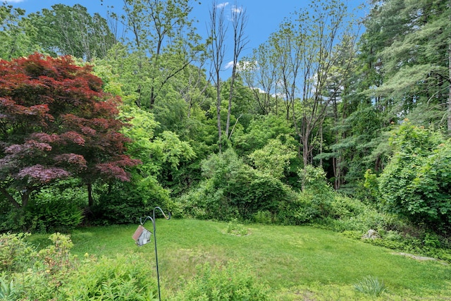 5 Reservoir Rd, Norwich, CT 06360 - view of grassy yard with a view of trees