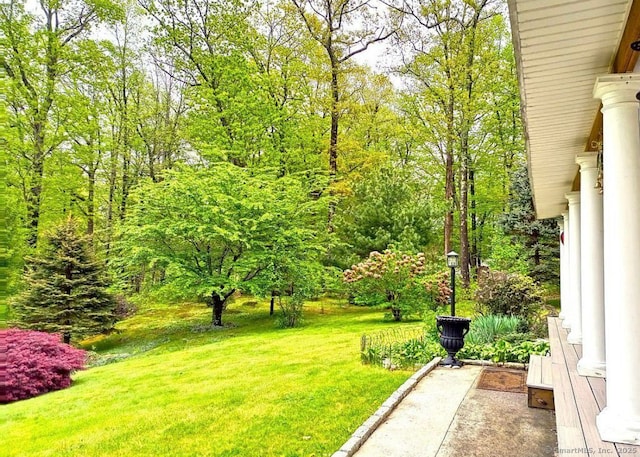 10 Secor Rd, Brookfield, CT 06804 - view of green lawn