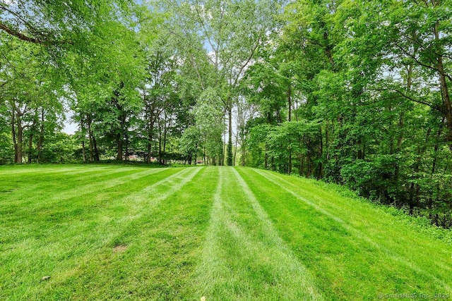 657 Tamarack Rd, Cheshire, CT 06410 - view of grassy yard