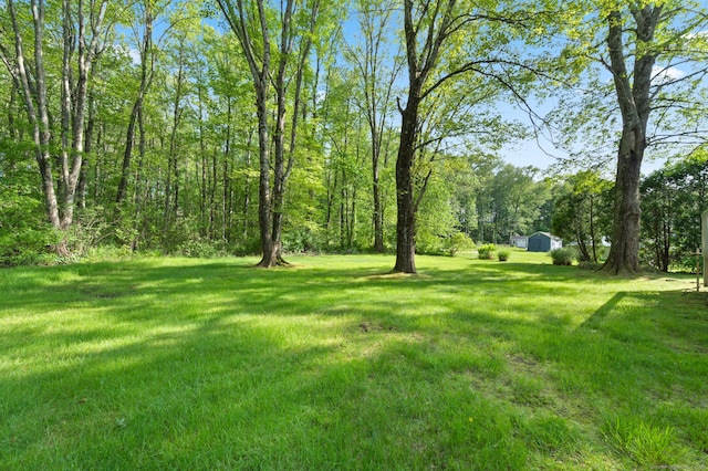 12 Whispering Rod Rd, Farmington, CT 06085 - view of grassy yard