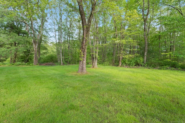 12 Whispering Rod Rd, Farmington, CT 06085 - view of green lawn