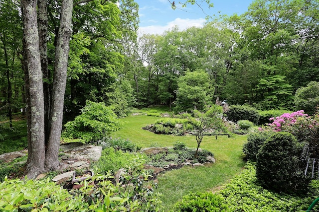 114 Peaceable Ridge Rd, Ridgefield, CT 06877 - view of green lawn