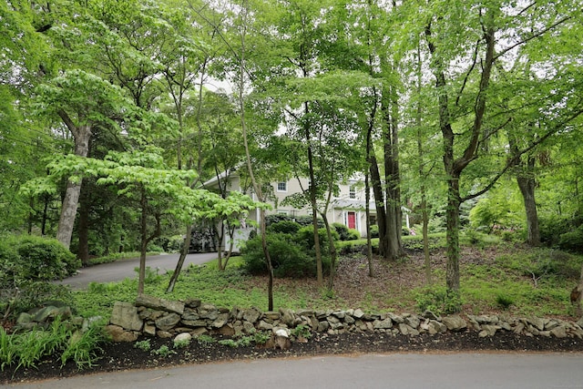 114 Peaceable Ridge Rd, Ridgefield, CT 06877 - view of front of property featuring asphalt driveway