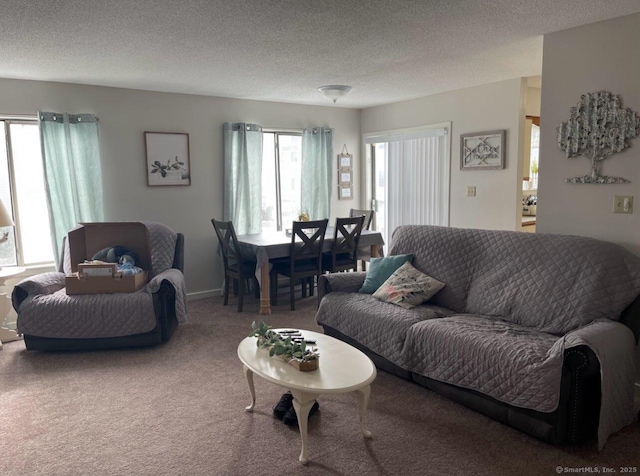 9 Staffordshire Commons Dr Unit 9, Wallingford, CT 06492 - living area featuring carpet and a textured ceiling