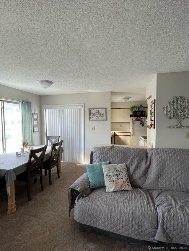9 Staffordshire Commons Dr Unit 9, Wallingford, CT 06492 - living area featuring a textured ceiling and carpet