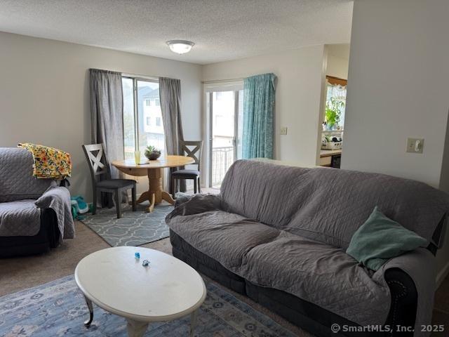 9 Staffordshire Commons Dr Unit 9, Wallingford, CT 06492 - living room with carpet floors and a textured ceiling