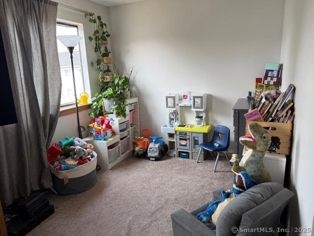 9 Staffordshire Commons Dr Unit 9, Wallingford, CT 06492 - playroom with carpet floors