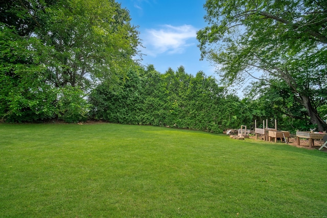 1 Trumbull St, Vernon, CT 06066 - view of green lawn
