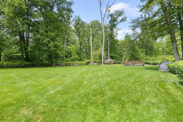 41 Alpine Rd, Monroe, CT 06468 - view of grassy yard