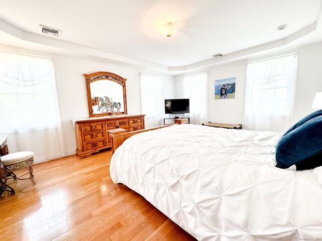 197 Shadow Pond Ln, Suffield, CT 06078 - bedroom featuring light wood-style floors, a tray ceiling, and baseboards