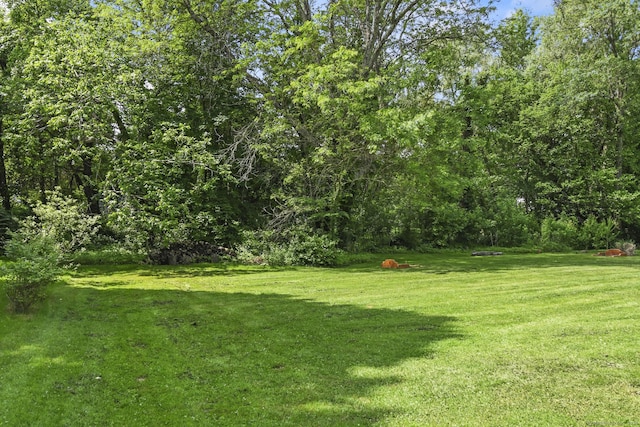 63 Paul Ter, Southington, CT 06489 - view of green lawn