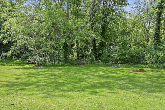 63 Paul Ter, Southington, CT 06489 - view of green lawn