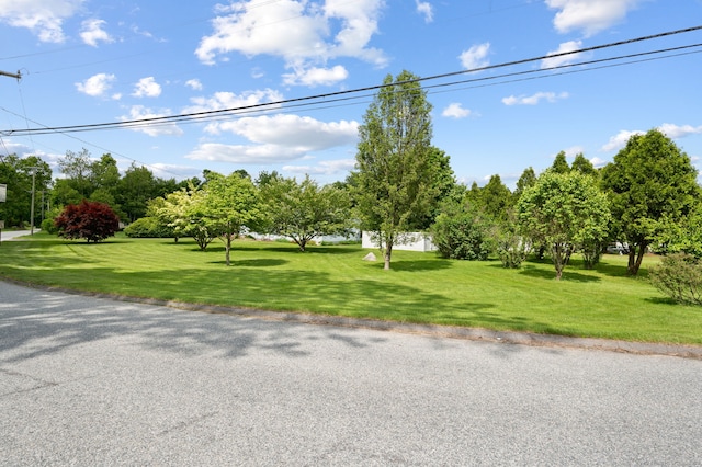 7 Wawecus Hill Rd, Bozrah, CT 06334 - view of front of house featuring a front lawn