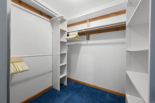 7 Wawecus Hill Rd, Bozrah, CT 06334 - walk in closet featuring carpet