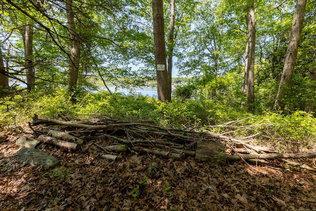 121 Warren Ave, Groton, CT 06355 - view of undeveloped land