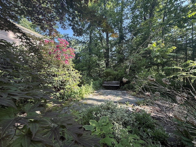 49 Carver Cir, Simsbury, CT 06070 - view of yard