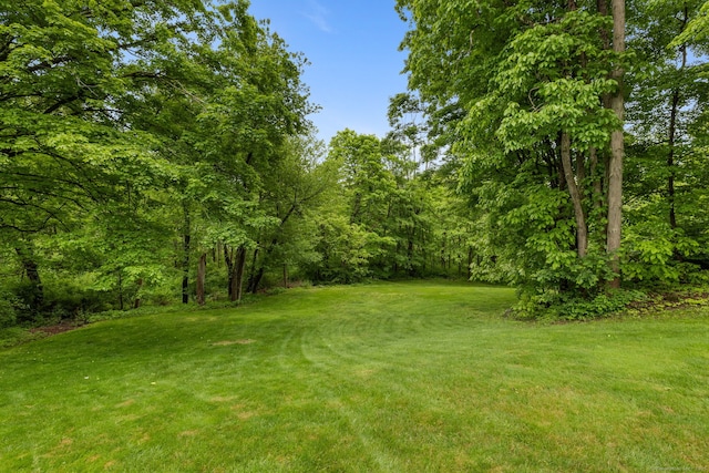 39 Munn Rd, Southbury, CT 06488 - view of green lawn