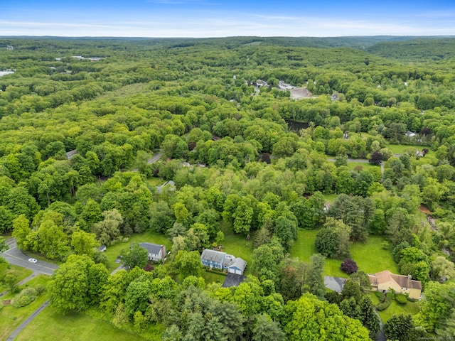 39 Munn Rd, Southbury, CT 06488 - bird's eye view of a heavily wooded area