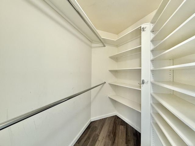 25 Forest St Unit 11A, Stamford, CT 06901 - walk in closet featuring dark wood-style flooring