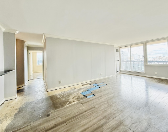 25 Forest St Unit 11A, Stamford, CT 06901 - empty room featuring crown molding, baseboards, and light wood-style floors
