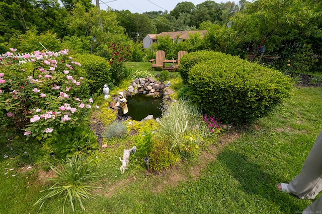 687 Beacon Valley Rd, Naugatuck, CT 06770 - view of yard with a small pond