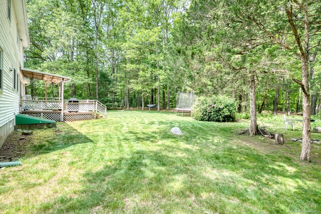 24 Marbella Ln, Tolland, CT 06084 - view of green lawn featuring a trampoline and a deck