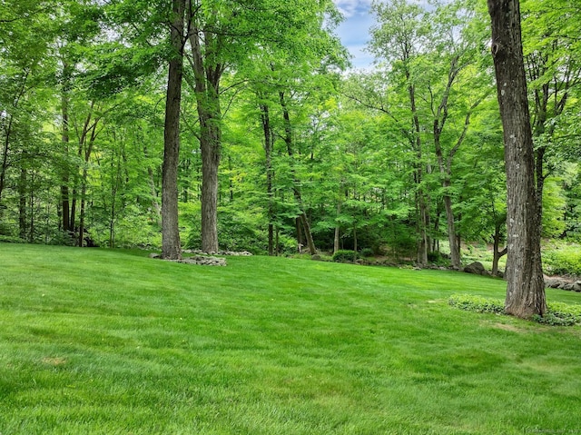 67 Great Hill Rd, Ridgefield, CT 06877 - view of green lawn featuring a forest view