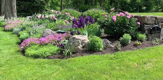 67 Great Hill Rd, Ridgefield, CT 06877 - view of grassy yard