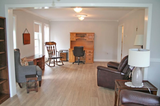 2 Cinnamon Ln Unit 2, Portland, CT 06480 - living area featuring ornamental molding, light wood-style flooring, and baseboards