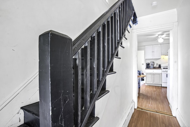 165 Connecticut Ave, New London, CT 06320 - staircase with wood finished floors, a ceiling fan, and crown molding