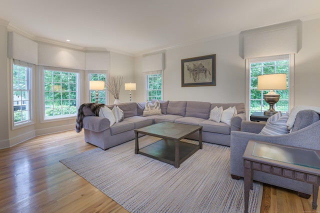 38 Old Trolley Rd, Ridgefield, CT 06877 - living room with plenty of natural light, wood finished floors, crown molding, and baseboards