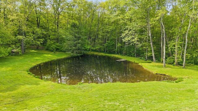 2 Pine Hill Rd, New Fairfield, CT 06812 - water view with a heavily wooded area