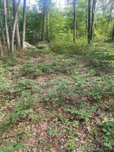 24 Costa Ln, Redding, CT 06896