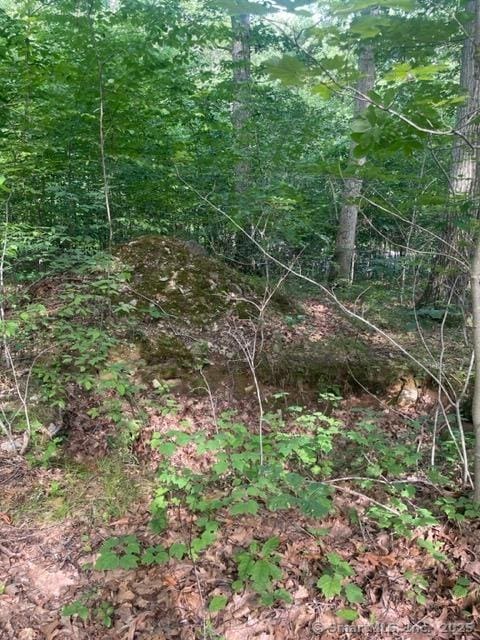 24 Costa Ln, Redding, CT 06896