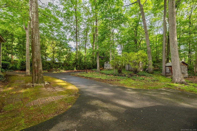 10 Laurel Glen Dr, East Hampton, CT 06424 - view of road