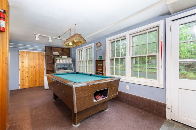 10 Laurel Glen Dr, East Hampton, CT 06424 - recreation room with pool table and carpet
