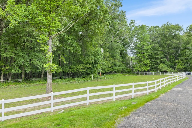 103 Pine St, Columbia, CT 06237 - view of yard with a wooded view