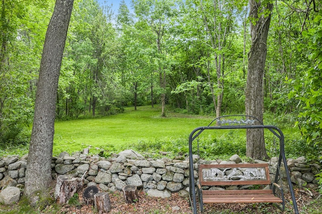 103 Pine St, Columbia, CT 06237 - view of green lawn featuring a view of trees