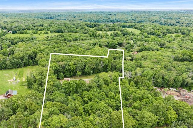 103 Pine St, Columbia, CT 06237 - aerial overview of property's location with a forest and property boundaries highlighted