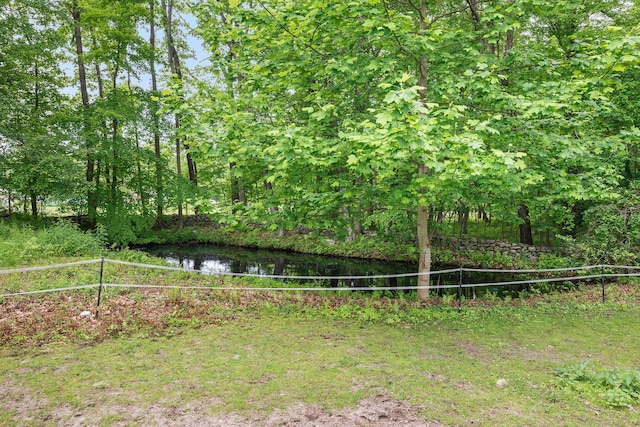 103 Pine St, Columbia, CT 06237 - view of yard