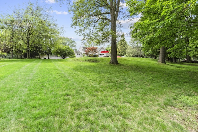 22 Douglas Dr, Norwalk, CT 06850 - view of grassy yard