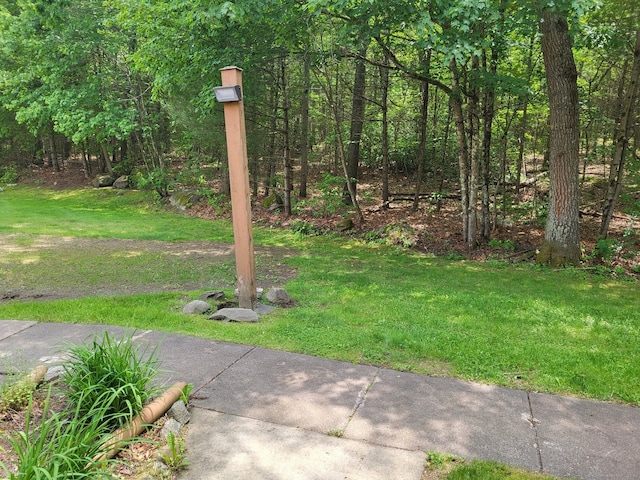 44 Tolland Ave Apt 54, Stafford, CT 06076 - view of green lawn