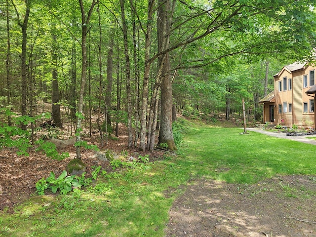 44 Tolland Ave Apt 54, Stafford, CT 06076 - view of green lawn with a forest view