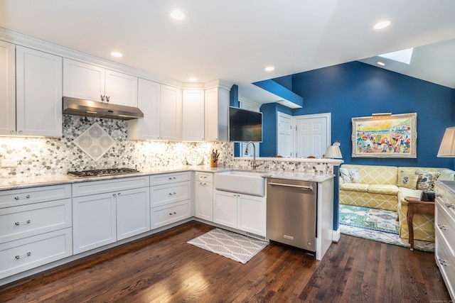 35 Saddle Rdg Unit 35, Bloomfield, CT 06002 - kitchen with stainless steel appliances, under cabinet range hood, a sink, a peninsula, and white cabinetry